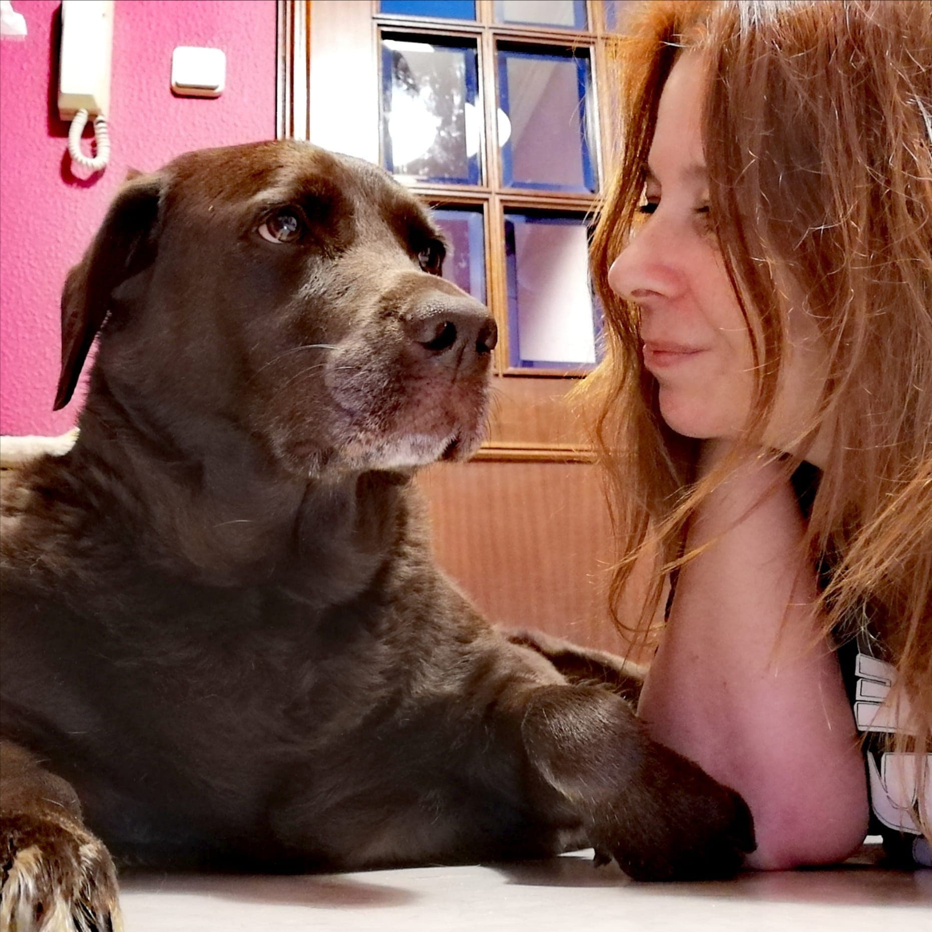 Pet Sitting com Alojamento