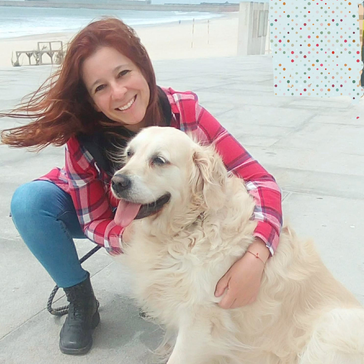 Dog Walking